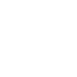 Human Capital Transformation